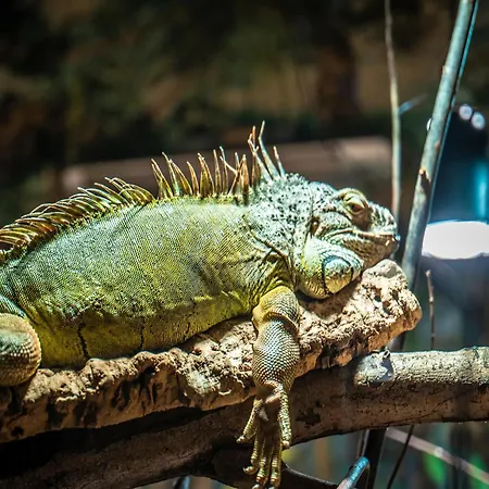 Im Freizeitpark Weissenhaeuser Weissenhäuser Strand