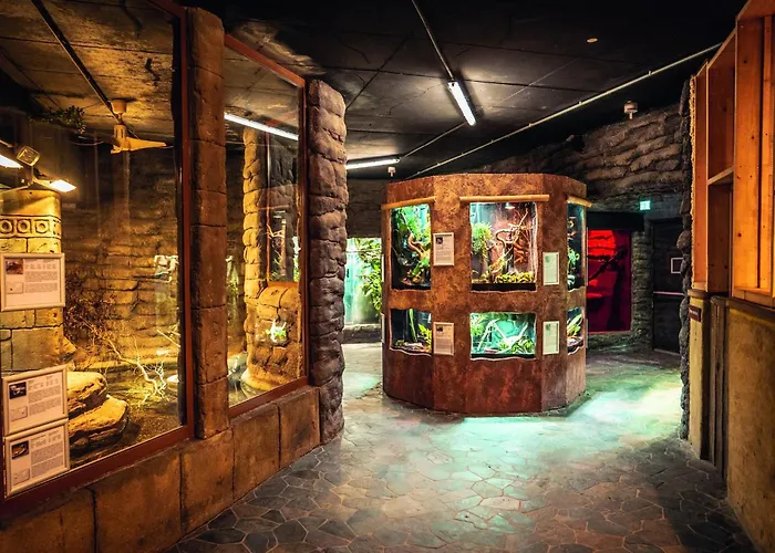 Im Freizeitpark Weissenhaeuser * Weissenhäuser Strand